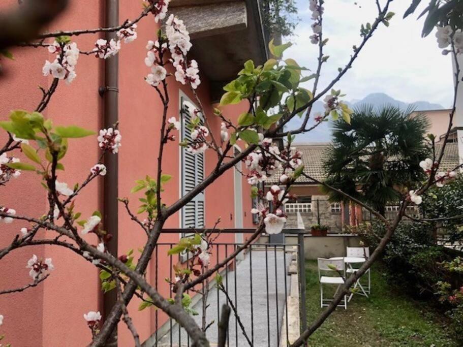 דומודוסולה Giuditta Freecarpark&Garden מראה חיצוני תמונה